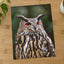 Great Horned Owl Portrait Photo Print Wall Decor