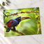 Toucan Perched on Tree Branch Photographic Art Print (7 Sizes) - Printed in USA