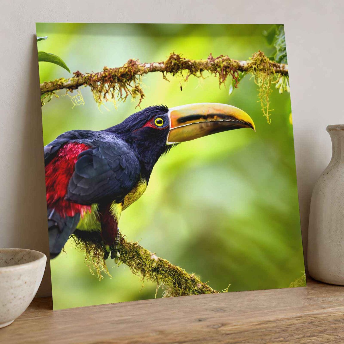 Toucan Perched on Tree Branch Photographic Art Print (7 Sizes) - Printed in USA