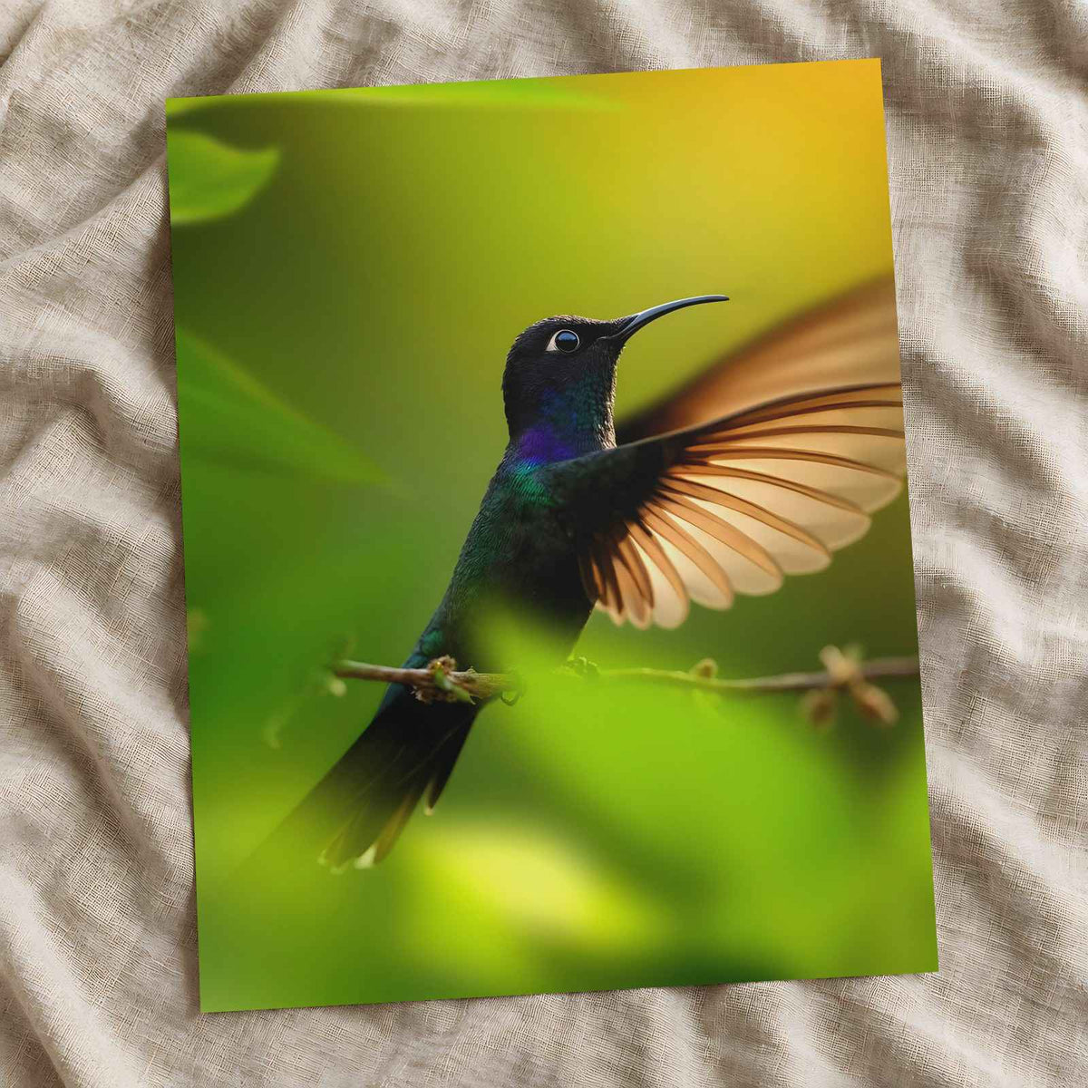 Hummingbird with Iridescent Feathers Photographic Art Print (7 Sizes)