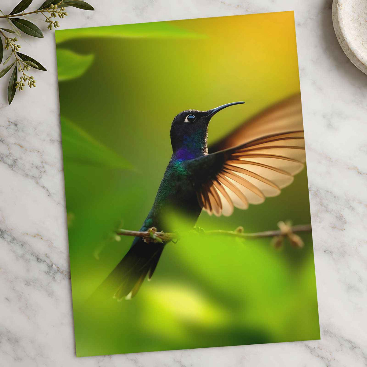 Hummingbird with Iridescent Feathers Photographic Art Print (7 Sizes)