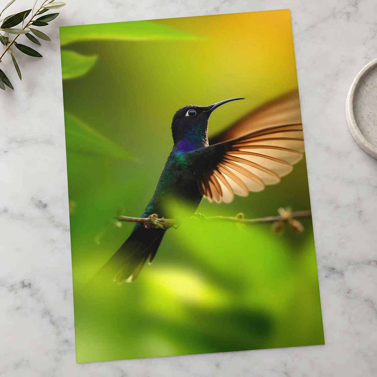 Hummingbird with Iridescent Feathers Photographic Art Print (7 Sizes)