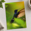 Hummingbird with Iridescent Feathers Photographic Art Print (7 Sizes)