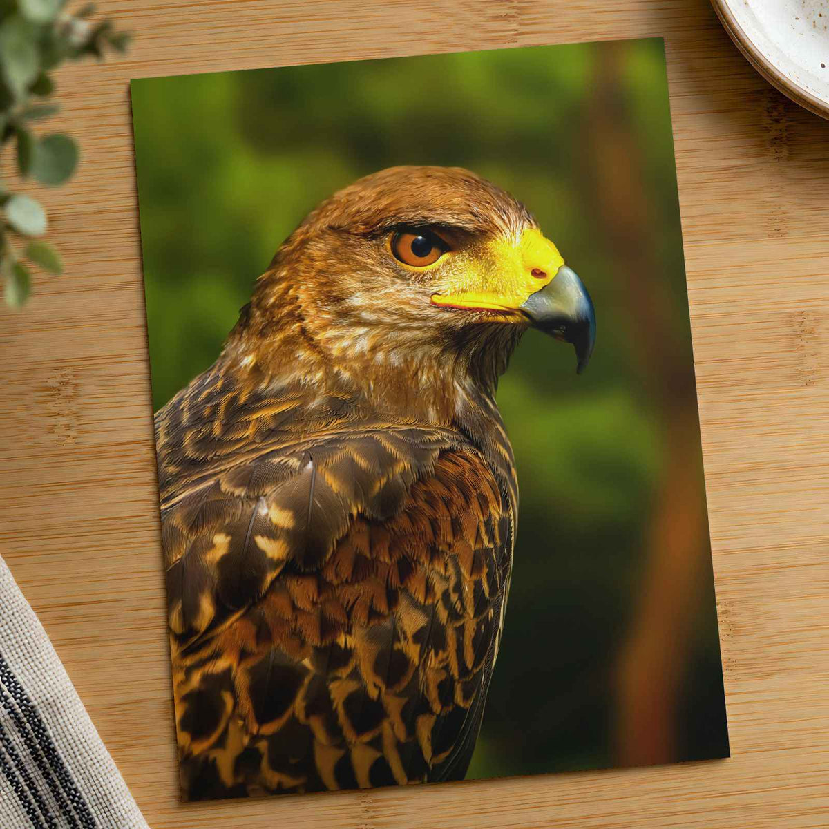 Close-Up of Raptor Bird Photography Print (7 Sizes) - Printed in USA