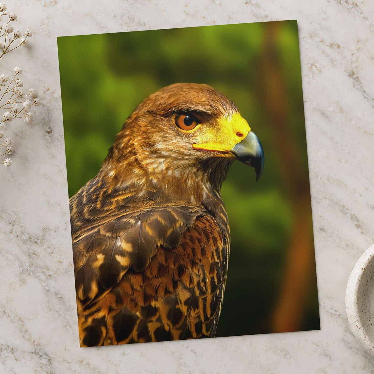 Close-Up of Raptor Bird by Allec Gomes Photo Print Wall Decor