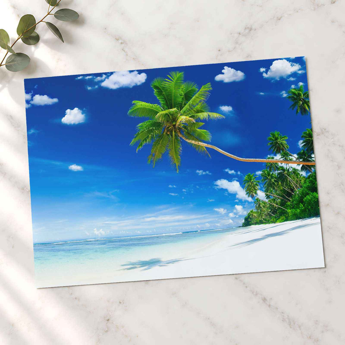 Tropical Beach on Samoa with Palm Tree Photographic Art Print (7 Sizes)