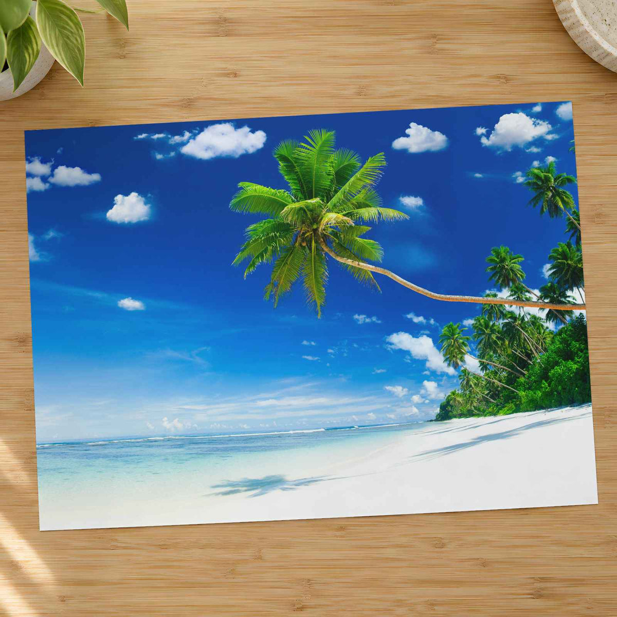Tropical Beach on Samoa with Palm Tree Photographic Art Print (7 Sizes)