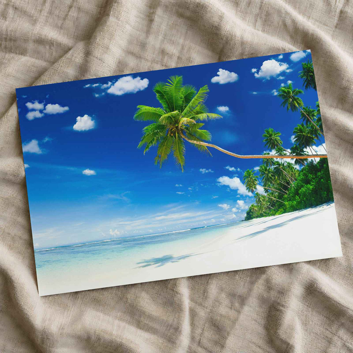 Tropical Beach on Samoa with Palm Tree Photographic Art Print (7 Sizes)