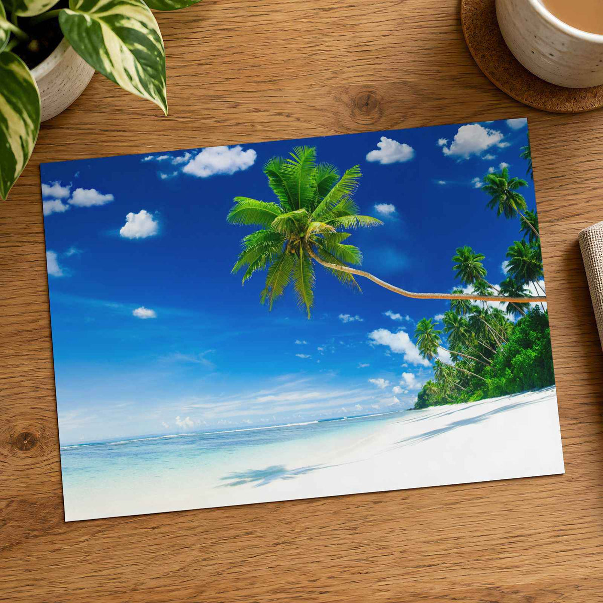 Tropical Beach on Samoa with Palm Tree Photographic Art Print (7 Sizes)