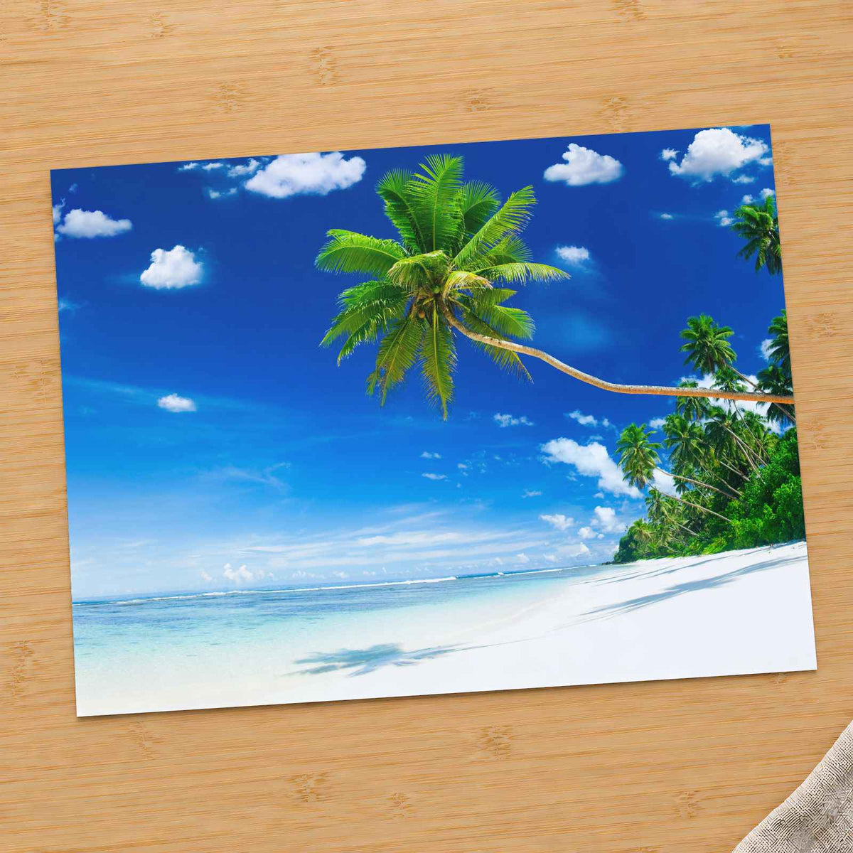 Tropical Beach on Samoa with Palm Tree by Curated Lifestyle Photo Print Wall Decor