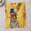 Starling Resting on Piece of Wood in Kenya Photo Print Wall Decor
