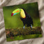 Tropical Toucan on Tree Branch Photo Wall Art (7 Sizes) - Shipped Flat