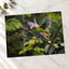 Colorful Parrot Flying Through a Forest Photo Wall Art (7 Sizes) - High Quality