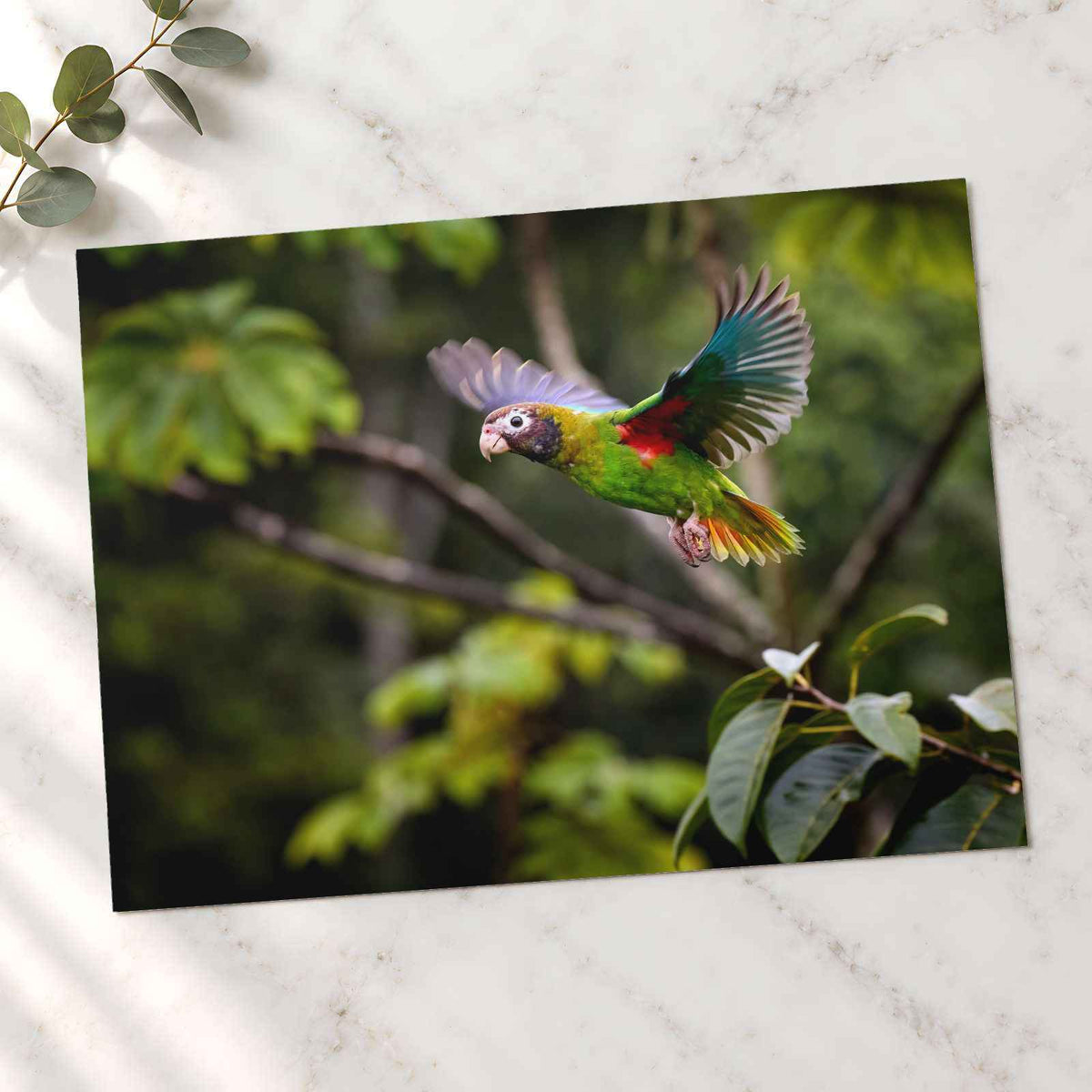 Colorful Parrot Flying Through a Forest Photo Wall Art (7 Sizes) - High Quality