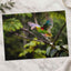 Colorful Parrot Flying Through a Forest Photo Wall Art (7 Sizes) - High Quality