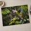 Colorful Parrot Flying Through a Forest Photo Wall Art (7 Sizes) - High Quality