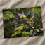 Colorful Parrot Flying Through a Forest Photo Wall Art (7 Sizes) - High Quality