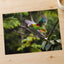 Colorful Parrot Flying Through a Forest Photo Wall Art (7 Sizes) - High Quality