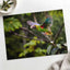 Colorful Parrot Flying Through a Forest by Zdeněk Macháček Photo Print Wall Decor