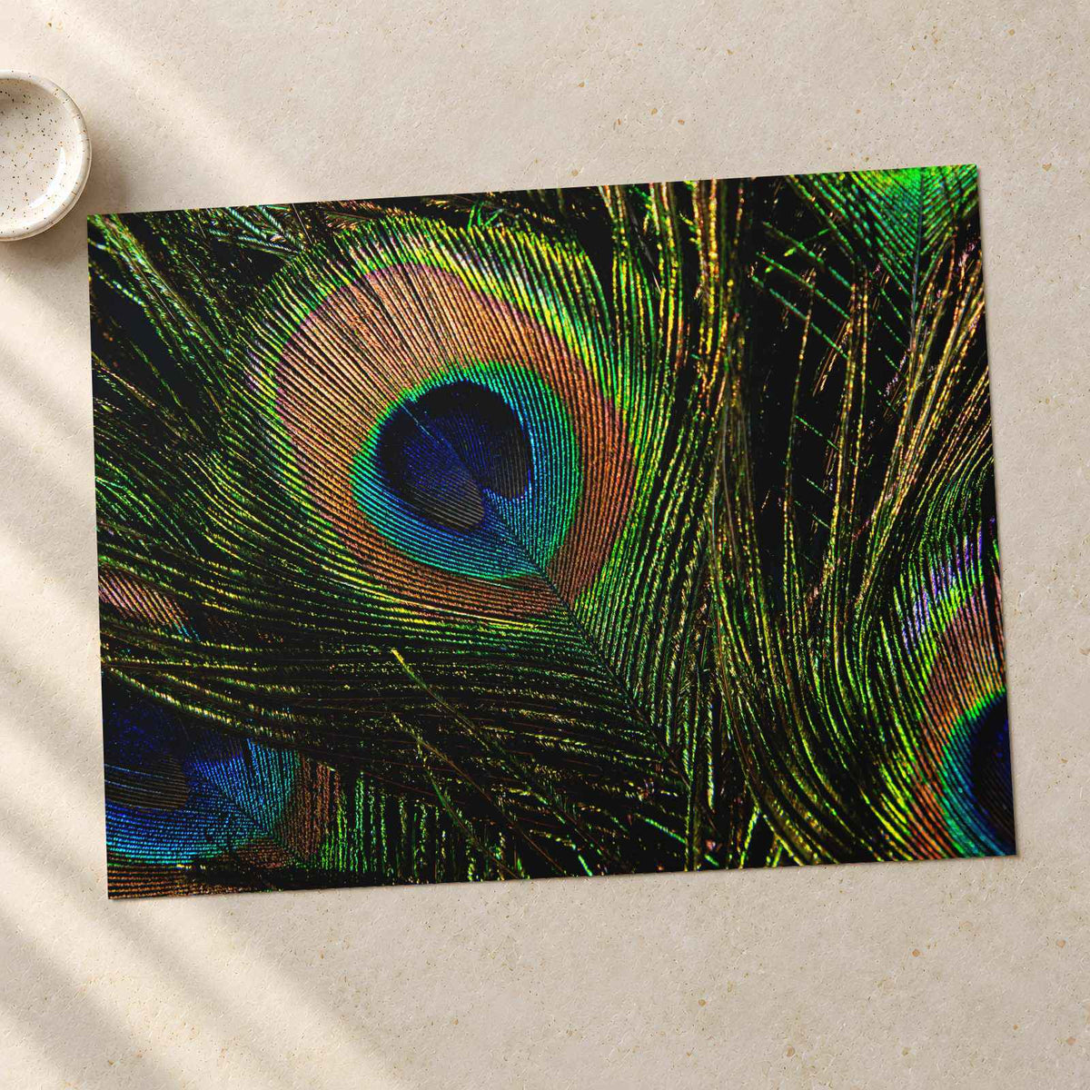 Close Up of Peacock's Tail Feathers Photo Wall Print (7 Sizes) - High Quality