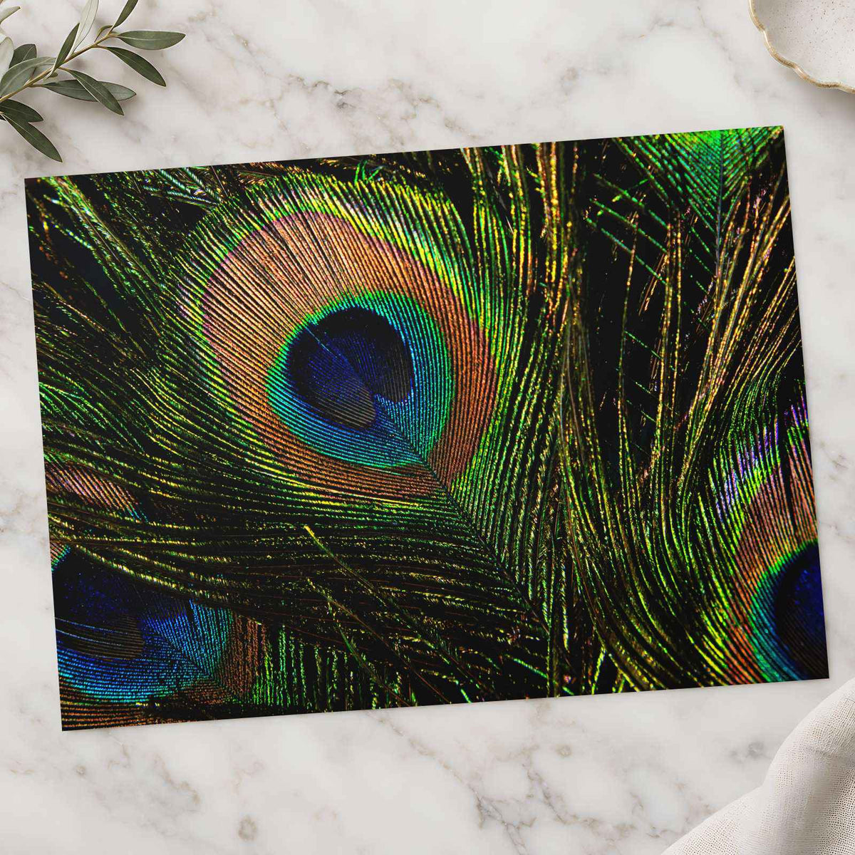 Close Up of Peacock's Tail Feathers Photo Wall Print (7 Sizes) - High Quality