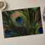 Close Up of Peacock's Tail Feathers Photo Wall Print (7 Sizes) - High Quality