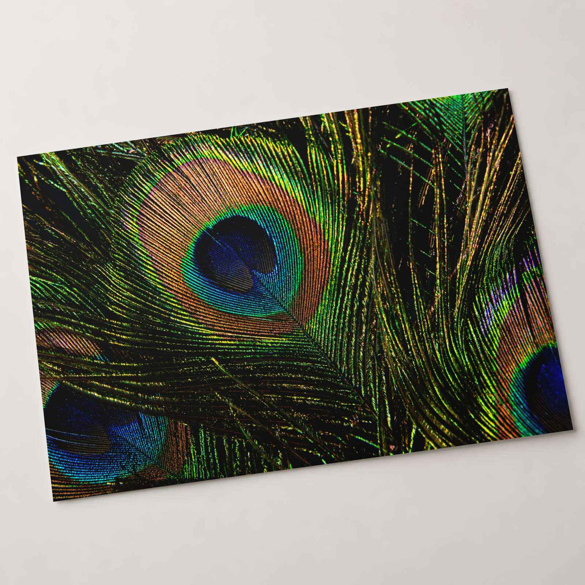 Close Up of Peacock's Tail Feathers Photo Wall Print (7 Sizes) - High Quality