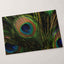 Close Up of Peacock's Tail Feathers Photo Wall Print (7 Sizes) - High Quality