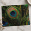 Close Up of Peacock's Tail Feathers Photo Wall Print (7 Sizes) - High Quality