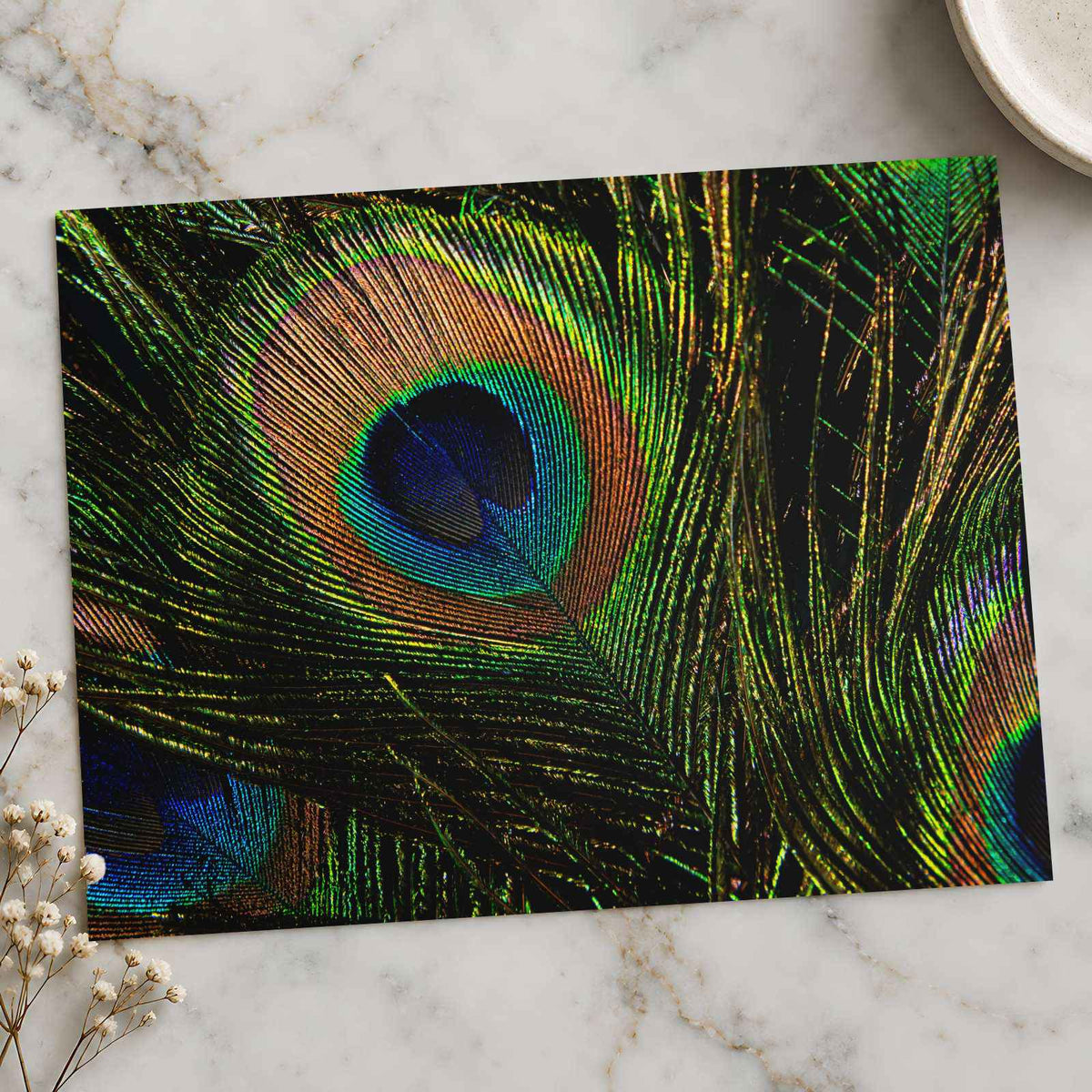 Close Up of Peacock's Tail Feathers Photo Wall Print (7 Sizes) - High Quality