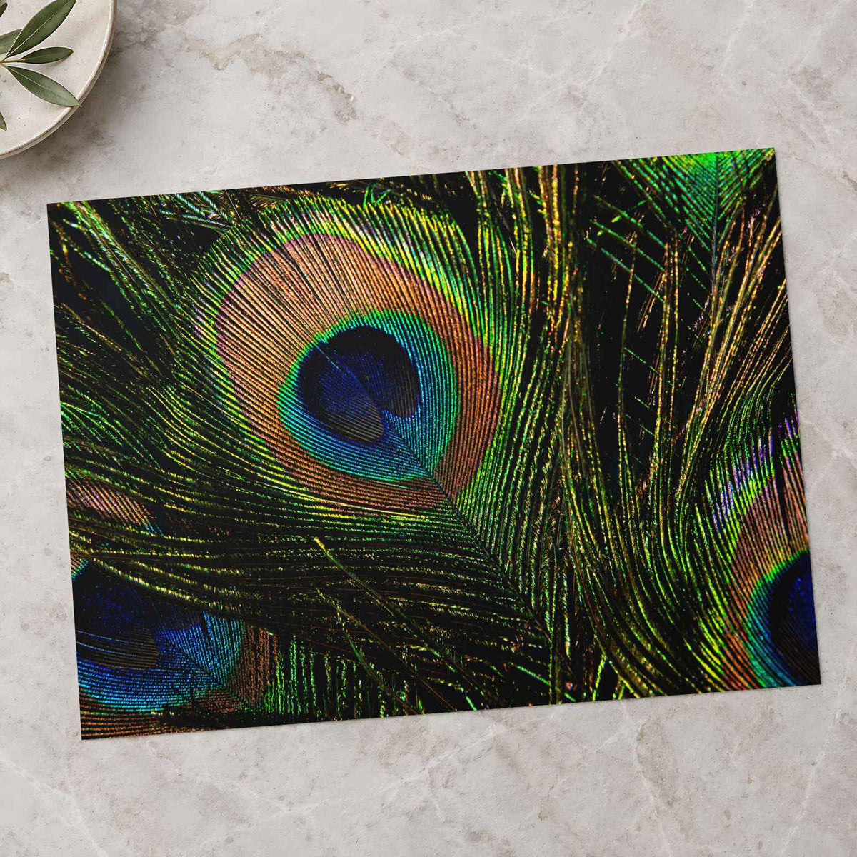 Close Up of Peacock's Tail Feathers Photo Wall Print (7 Sizes) - High Quality