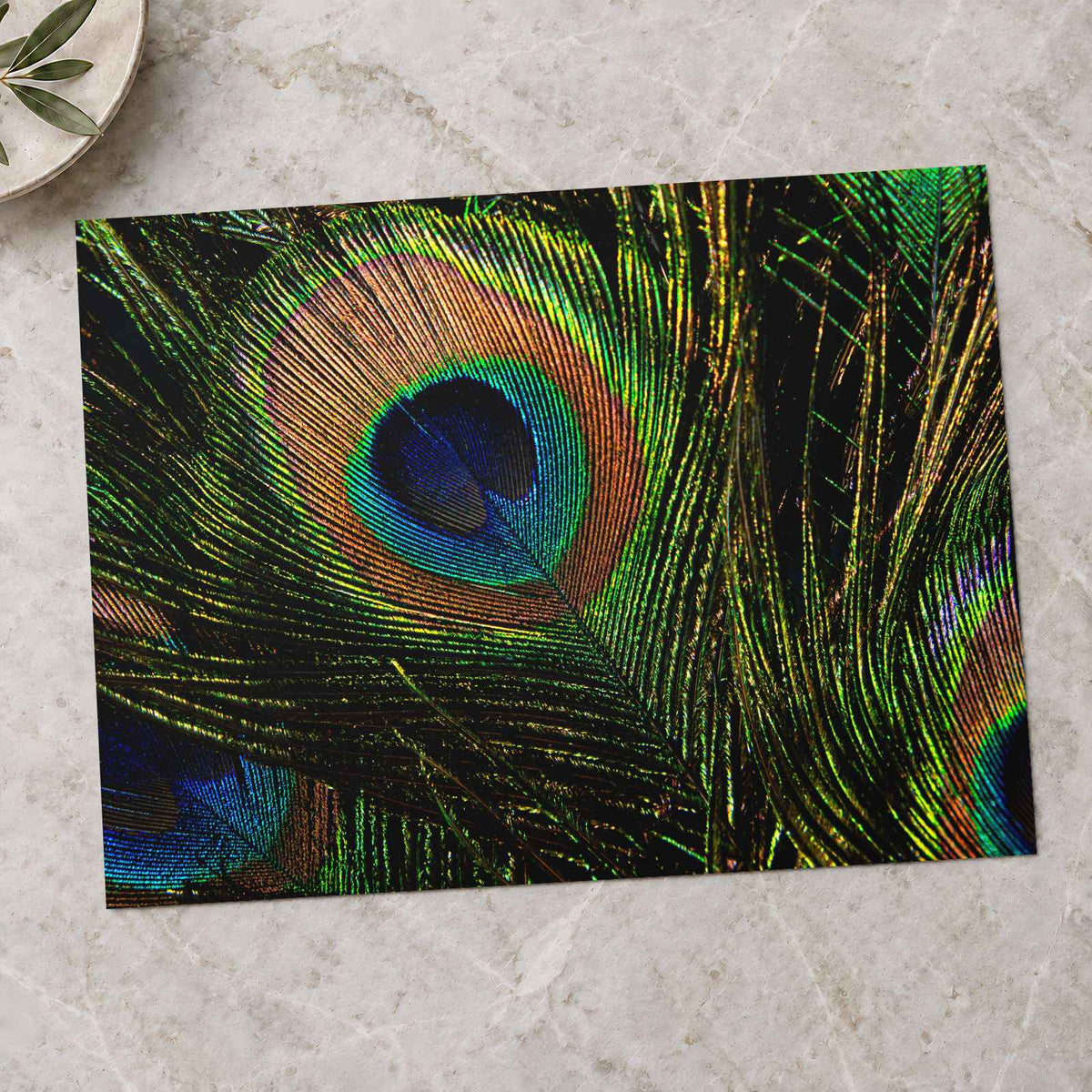 Close Up of Peacock's Tail Feathers by Margaret Jaszowska Photo Print Wall Decor