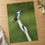 Pied Kingfisher Photo Wall Art (7 Sizes) - Satin Luster