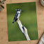 Pied Kingfisher Photo Wall Art (7 Sizes) - Satin Luster