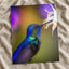 Hummingbird Feeding from a White Flower Photo Wall Print (7 Sizes) - Frameable