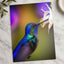 Hummingbird Feeding from a White Flower Photo Wall Print (7 Sizes) - Frameable