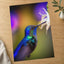 Hummingbird Feeding from a White Flower Photo Wall Print (7 Sizes) - Frameable