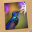Hummingbird Feeding from a White Flower Photo Wall Print (7 Sizes) - Frameable