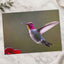 Hummingbird Flying in Willamette Valley Oregon Photographic Art Print (7 Sizes)