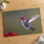 Hummingbird Flying in Willamette Valley Oregon Photographic Art Print (7 Sizes)