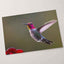 Hummingbird Flying in Willamette Valley Oregon Photographic Art Print (7 Sizes)