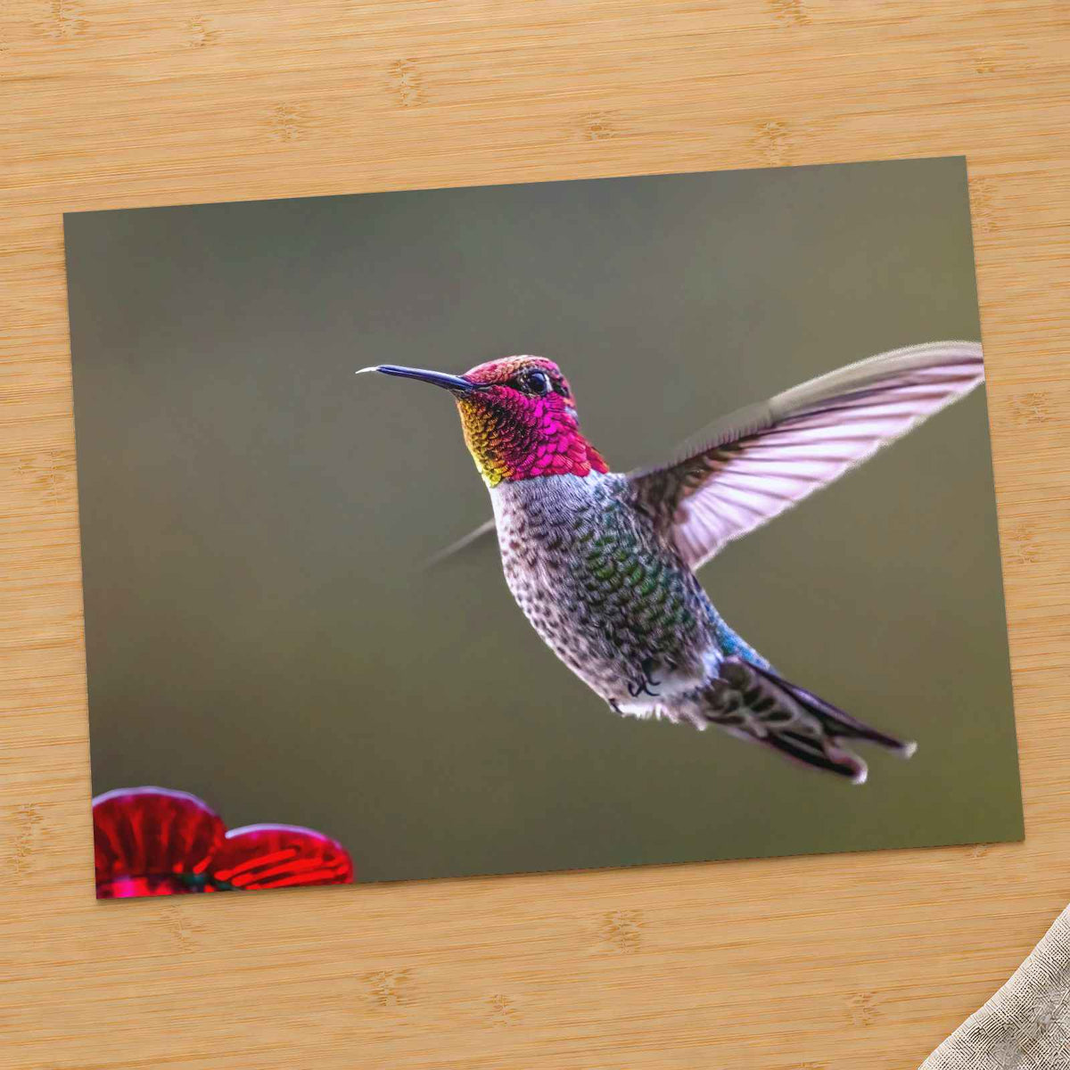 Hummingbird Flying in Willamette Valley Oregon Photographic Art Print (7 Sizes)