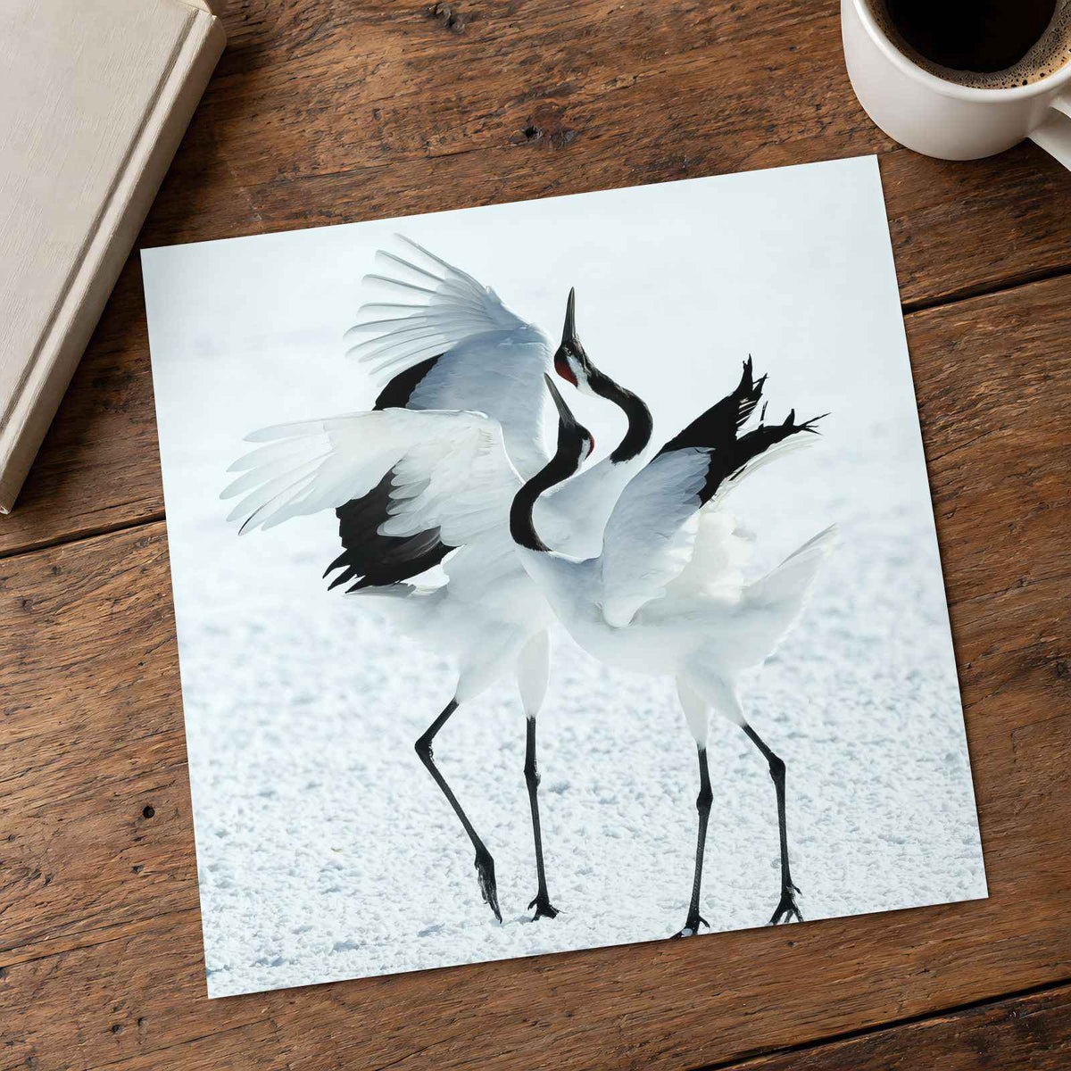 Two Red-Crowned Cranes Dancing on Snow Photographic Art Print (4 Sizes)