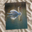 Peaceful White Swan on Water Photography Print (7 Sizes) - Shipped Flat