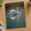 Peaceful White Swan on Water Photography Print (7 Sizes) - Shipped Flat