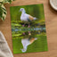 Pigeon Reflection Photo Print (7 Sizes) - Frameable
