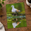 Pigeon Reflection by Zdeněk Macháček Photo Print Wall Decor