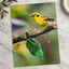 Yellow and Green Tropical Birds Photography Print (6 Sizes) - Satin Luster