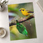Yellow and Green Tropical Birds Photography Print (6 Sizes) - Satin Luster