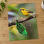 Yellow and Green Tropical Birds by Zdeněk Macháček Photo Print Wall Decor
